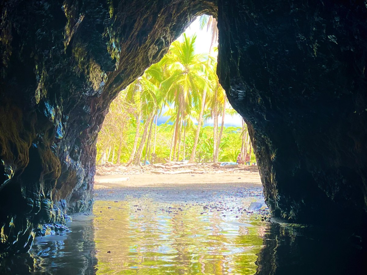 Costa Rica: Coconuts on the&nbsp;Playa