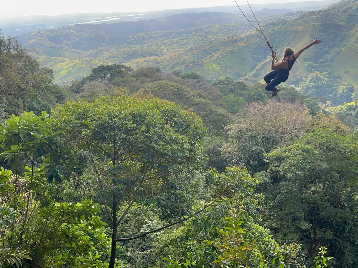 Costa Rica: Swinging with&nbsp;Sloths